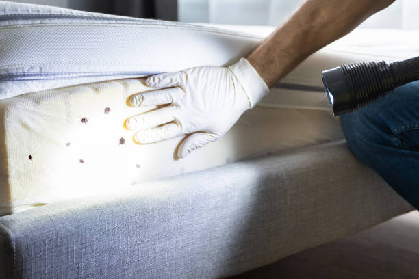 Best Pest Prevention Services  in Belle Meade, TN